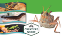 The Insect Discovery Lab