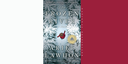 Book Discussion: The Frozen River by Ariel Lawhon