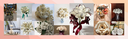 Paper Flowers & Vases