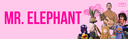 Mr. Elephant