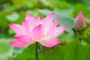 Mindfulness Meditation