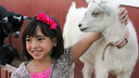 Little Explorers Petting Zoo