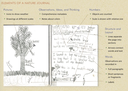 Nature Journaling: Art, Observation, and Science