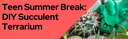 Teen Summer Break: DIY Succulent Terrarium