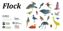 Flock: Early Birding and Tree Walk at Wright Park