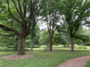 Walk With a Doc at The Arboretum