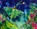 The Fourteenth Annual One: A Members’ Exhibition (Public Reception)
