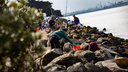 3rd Saturday Shoreline Cleanup - July
