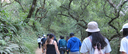Hike & Sip