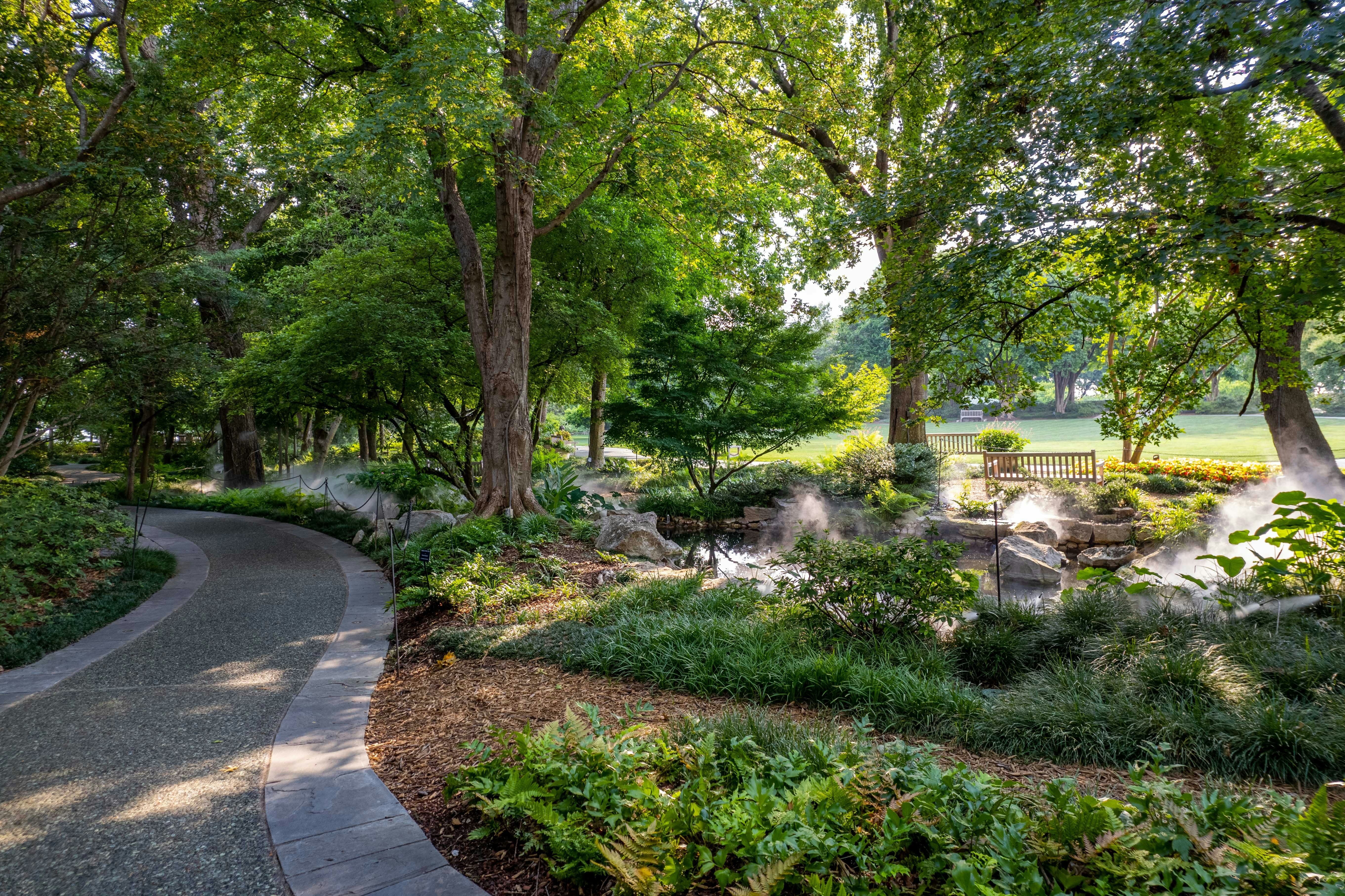 Early Morning Member Walks - July 18, 2026
