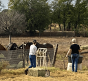 Open Volunteer Day