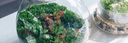 Unearth Your Mini Garden