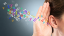 From Sounds to Meaning: Understanding the Reading Brain