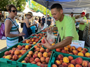 Farmers Market in the Plaza