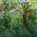 Happy Hour Tour - Friday, Jul 17, 2026, 6:30pm