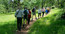 Hike with a Naturalist