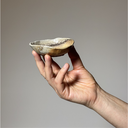1,000 Ways to Hold: A New Work By Erika Chong Shuch (July 17, 2026)