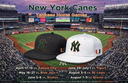 New York Canes | Hurricanes at Yankee Stadium: A Night in the Bronx