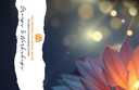 SPARK Femmes (Sex and Pornography Addiction Recovery Kit)