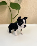Needle Felted Boston Terrier – Class