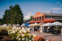 Factory Farmers Market Factory at Franklin