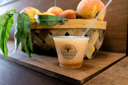 Taste &amp; Tour the Orchard