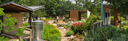 Drop-in Guided Tour: Texas WaterSaver Garden - July 17, 2026