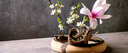 Ikebana Workshop