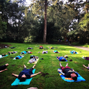 Gratitude in the Park🙏 - Donation Yoga Flow