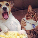 Offbeat Movie Night + Potluck