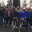 Mid-Morning Run (Pointer Event)