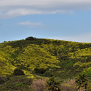 Peters Canyon Hike Saturday Morning/All Levels: 1+ to 3/Beginning-Advance