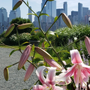 Liberty State Park Walk: a Collaboration between EverWalk and Freewalkers