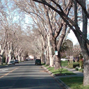 In-Person Shut Up & Write!™ at East Sac Temple Coffee