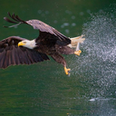 Nature Photography Schedule 2026 - 2027  + Zoom
