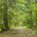 Redmond Watershed Walkers Saturday Morning Walk