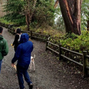 SATURDAY MORNING HIKE - Lincoln Park, West Seattle