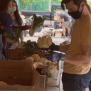 Volunteer with Flower City Pickers