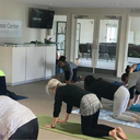 Free Yoga and Meditation