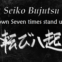 Seiko Bujutsu Training (Michigan)