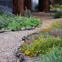 Community Work Day at the Native Plant Garden in Kirk Park