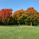 9 holes by 9:30am