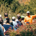 Alemany Farm Native Plant Volunteer Day