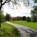 Saturday Morning Walks