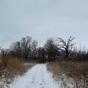 Easy hike at St. James Forest Preserve 2 miles
