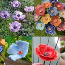 Garden Flowers - Pottery Project