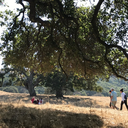 Fernandez Ranch, Martinez
