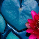 Buddhist Meditation Sitting Group - Central San Diego