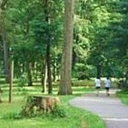 Let's Walk!! Brookdale Park