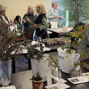 Seed and Cutting Exchange & Plant Sale Pickup